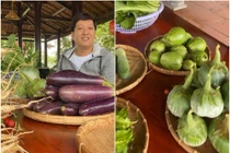 Xuýt xoa vườn cây “quý như vàng” trong biệt thự của Trường Giang