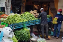 Mưa nhiều, rau xanh đắt đỏ