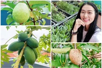 Mãn nhãn khu vườn sân thượng đầy rau quả của Diệp Bảo Ngọc
