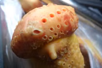 5 loại thịt thèm đến mấy cũng không được ăn, cẩn thận “đón” thêm bệnh