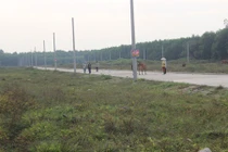 Kiến nghị công an điều tra công ty Alibaba