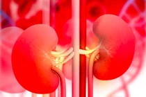 6 dấu hiệu sớm cảnh báo bệnh thận, khi gặp vấn đề thì nên đi khám ngay