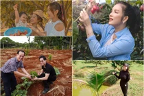 Đọ những khu vườn "thẳng cánh cò bay" của sao Việt