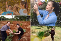 Đọ những khu vườn "thẳng cánh cò bay" của sao Việt