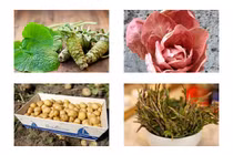 Bất ngờ rau củ đắt hơn vàng, có loại 2 tỷ/cây... công dụng thần kỳ gì?