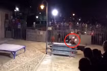 Bò tót bị đốt sừng, nổi điên húc tung cô gái Tây Ban Nha