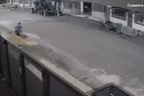 Video: Thanh niên lái ôtô cứu người phụ nữ bị chó dữ cắn 