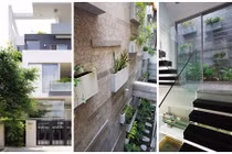 Nhà ống đẹp ngây ngất với vườn đứng độc đáo bên trong