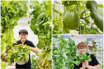 Biệt thự sân vườn triệu đô của “MC giàu nhất Việt Nam” 