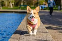 3 dấu hiệu ngôi nhà phát tài viên mãn, 2 điềm báo hung hạn 