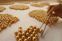 Tiết lộ không ngờ về nuôi trai vàng siêu quý hiếm lấy ngọc