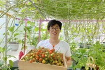 Mướt mắt vườn rau sạch phủ kín sân thượng của ông bố trẻ Sài thành