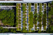 Báo Mỹ nức nở khen tòa nhà “chạy trốn khói bụi” ở Khánh Hòa 