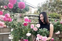 Không gian sân vườn tuyệt đẹp rộng hàng trăm m2 tại nhà Hoa hậu Việt