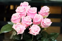 Cận cảnh hoa hồng kim cương độc lạ gây sốt thị trường