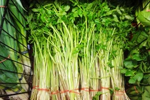 Những người tuyệt đối không nên ăn rau cần 