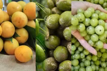 3 loại quả xưa không ai ăn thành đặc sản tranh nhau mua