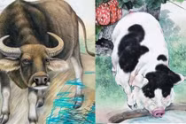 12, 13, 14 và 15/2, 3 con giáp sẽ “hái ra tiền“