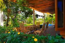 Đọ vườn hoa rực rỡ trong nhà mỹ nhân Việt