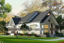 10 mẫu biệt thự vườn cổ điển đẹp ngất ngây