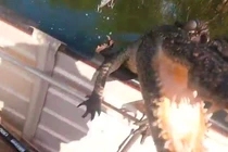 Thót tim khoảnh khắc cá sấu nước mặn lao lên thuyền đánh cá