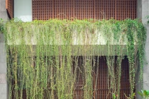 Khám phá ngôi nhà “phễu ngược” có 1-0-2 ở TP HCM 