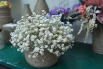 3 quy tắc chuẩn trang trí nhà năm mới để tránh gặp nạn