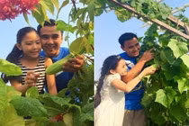 Đã mắt ngắm vườn rau xanh mướt của sao Việt