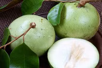 5 loại quả Việt Nam hot nhất tại thị trường Mỹ