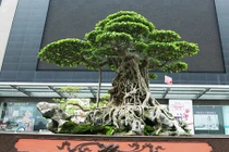 Xôn xao những thương vụ mua bán siêu cây bạc tỷ của đại gia Việt