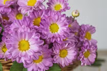 Mưa xuân rắc lộc: 3 con giáp cuối tháng 1 được Thần Tài gọi tên