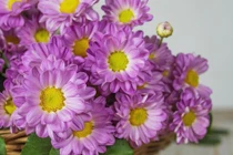 Mưa xuân rắc lộc: 3 con giáp cuối tháng 1 được Thần Tài gọi tên