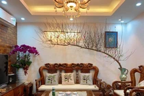 Đào dáng huyền ý nghĩa gì... dân lùng mua đến “cháy hàng“? 