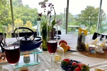 Choáng ngợp biệt thự siêu đẹp trên đồi của Hồng Nhung tại Mỹ