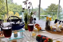 Choáng ngợp biệt thự siêu đẹp trên đồi của Hồng Nhung tại Mỹ