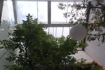 Ngắm nhà xanh yên bình, siêu thơ mộng ở thành phố Huế