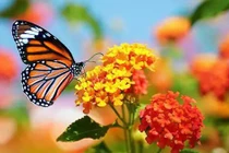 Quanh năm không thiếu tiền: 4 con giáp tháng 7 bội thu 