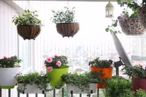 10 mẫu ban công chung cư nhỏ đẹp đầy thơ mộng