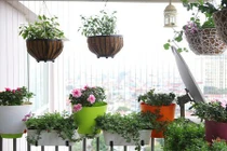 10 mẫu ban công chung cư nhỏ đẹp đầy thơ mộng