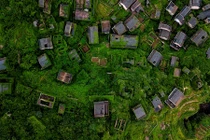 Nhà phủ kín cây xanh đẹp mê mẩn trong ngôi làng bỏ hoang