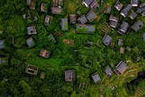 Nhà phủ kín cây xanh đẹp mê mẩn trong ngôi làng bỏ hoang