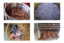 Những đặc sản “nhìn đã sợ” nhưng cứ bán là “hốt bạc“