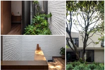 Có gì trong ngôi nhà “nuôi cây” để thanh lọc khói bụi?