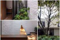 Có gì trong ngôi nhà “nuôi cây” để thanh lọc khói bụi?