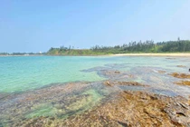 6 bãi biển hoang sơ, ít người biết ở Quảng Ngãi 