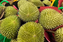 Sầu riêng Musang King 3 triệu đồng/quả ngon cỡ nào?
