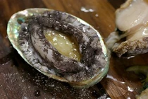 3 loại bào ngư nhập khẩu tiền triệu hút nhà giàu Việt