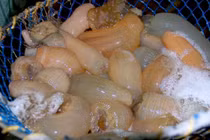 Đặc sản nào ví như “thần dược” mà cháy hàng dịp Tết?