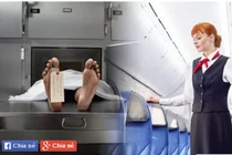 Ám ảnh nữ tiếp viên hàng không: Người ngồi ghế hành khách là xác chết