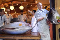 Loài cá đắt nhất nhì thế giới này sắp bị tuyệt chủng vì lý do lãng xẹt